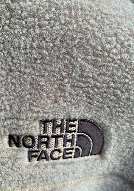 THE NORTHE FACE KOREA MODEL RIMO FLEECE JACKET | BEIGE